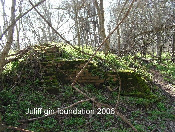 Remains of the Juliff gin built before 1890.